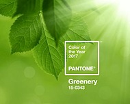 greenery2017